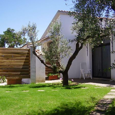 Podere Belvedere Cecina Cecina  Exterior foto