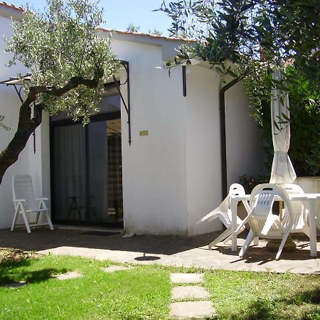 Podere Belvedere Cecina Cecina  Exterior foto