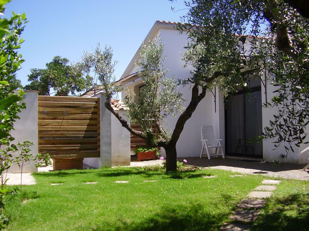 Podere Belvedere Cecina Cecina  Exterior foto